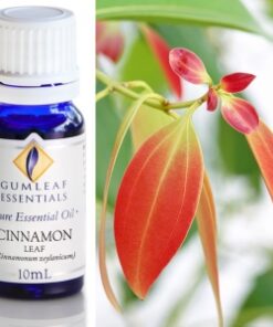 Gumleaf Essential Oils: Cinnamon Leaf 10ml