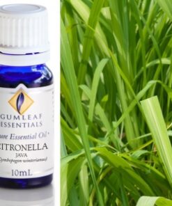 Gumleaf Essential Oils: Citronella 10ml