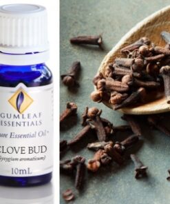 Gumleaf Essential Oils: Clove Bud 10ml