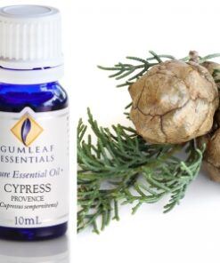 Gumleaf Essential Oils: Cypress 10ml