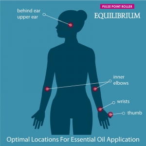 Pulse Point Roller: Equilibrium - Image 3