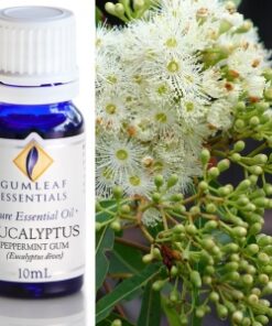 Gumleaf Essential Oils: Eucalyptus Peppermint 10ml