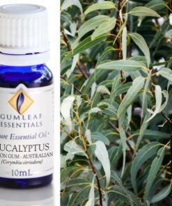Gumleaf Essential Oils: Eucalyptus Lemon Gum 10ml