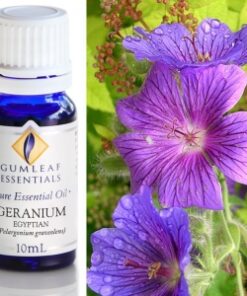 Gumleaf Essential Oils: Geranium 10ml