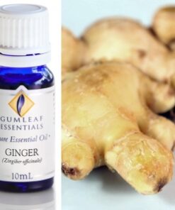 Gumleaf Essential Oils: Ginger 10ml