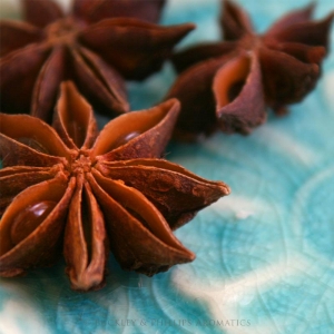 Gumleaf Essential Oils: Aniseed 10ml - Image 3