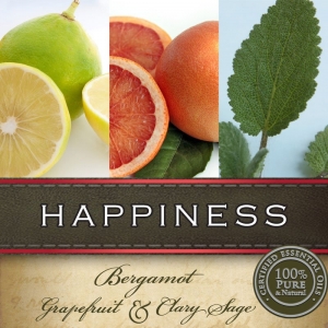 Gumleaf Essentials Hand & Body Wash: Happiness - Image 2