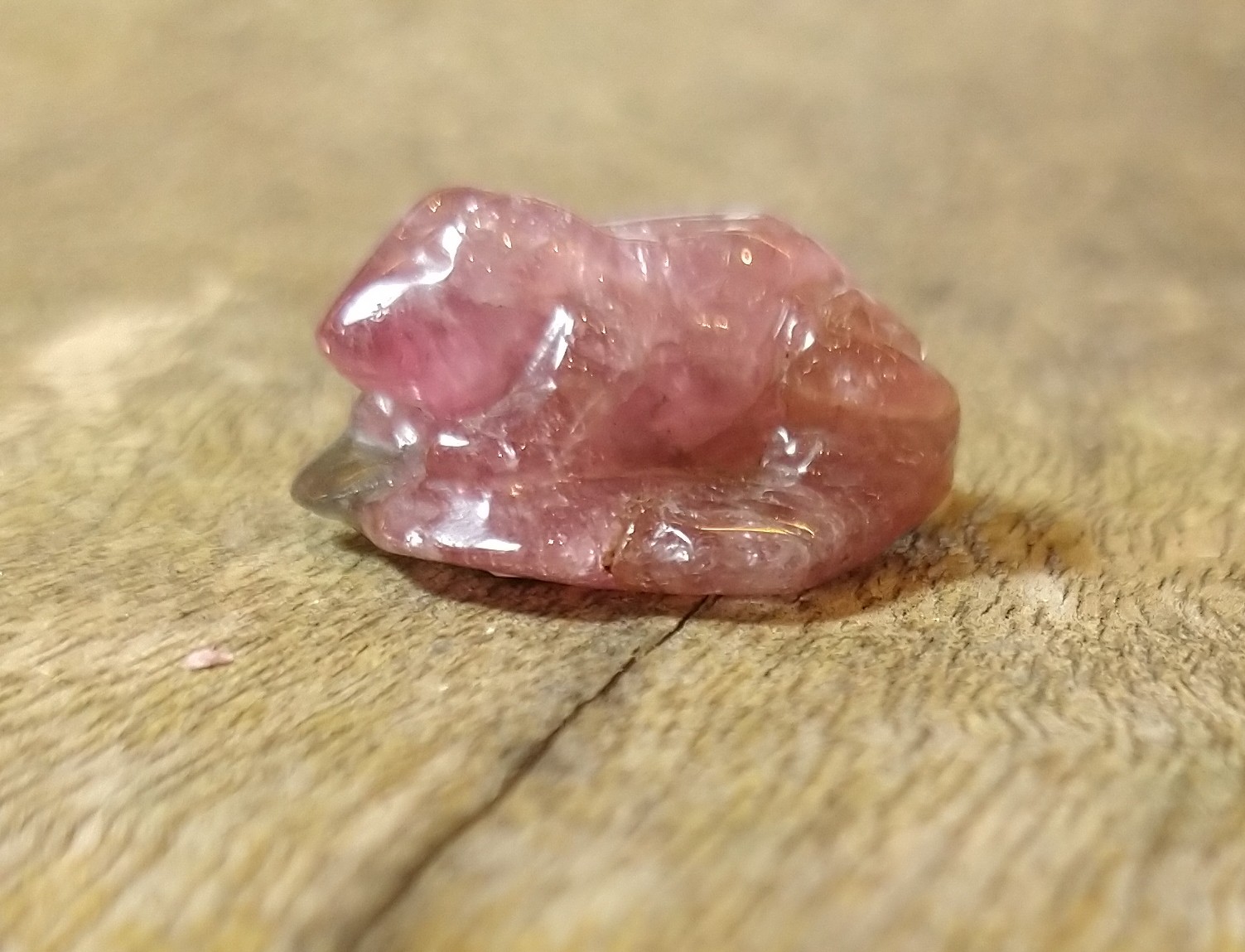 Natural Crystals: Hand Carved & Polished Watermelon Tourmaline Frog (Approx 2.5x2.5x2cm)