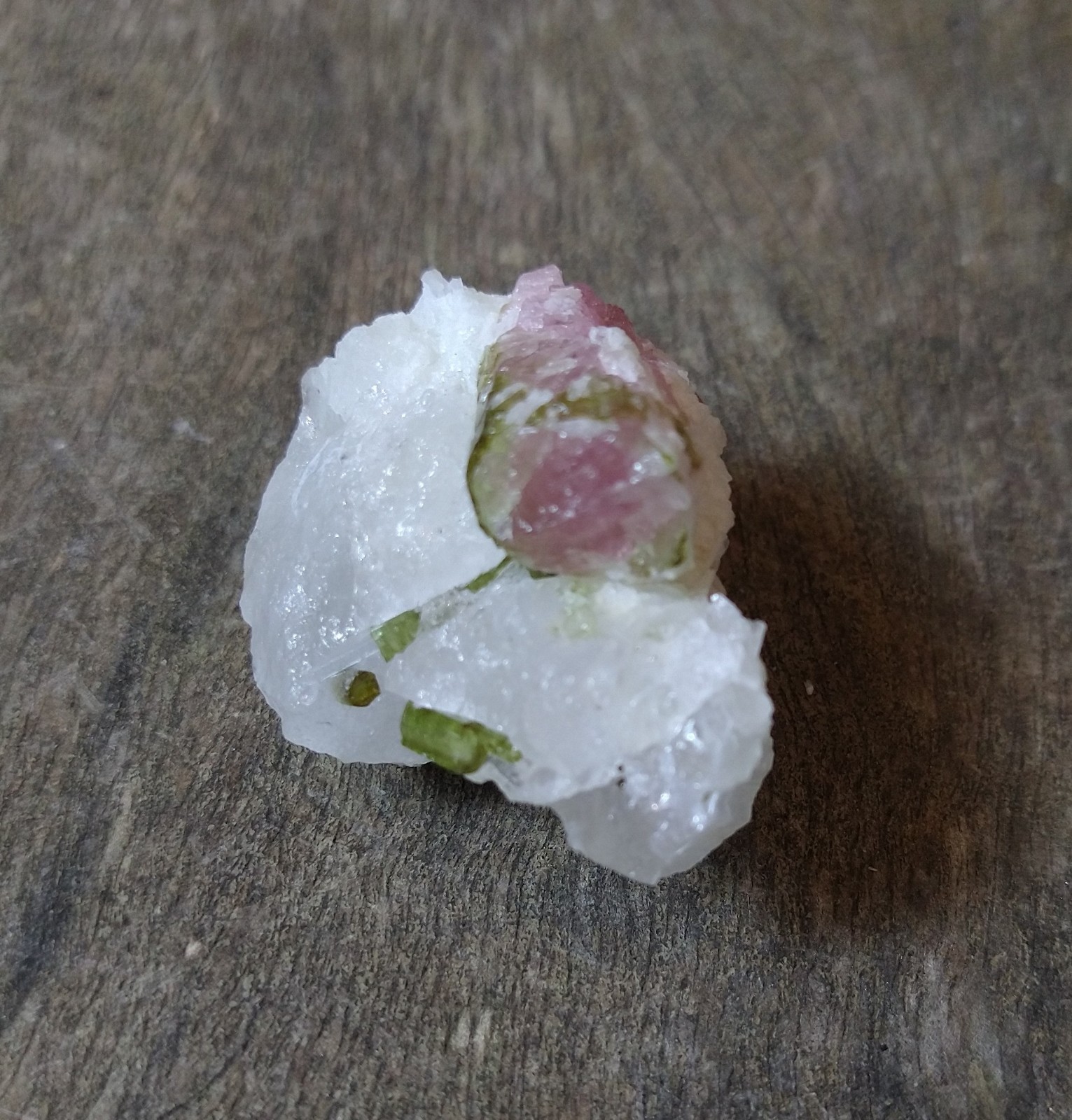 Rough Crystals: Watermelon Tourmaline in Quartz (Approx 4x3x2cm)