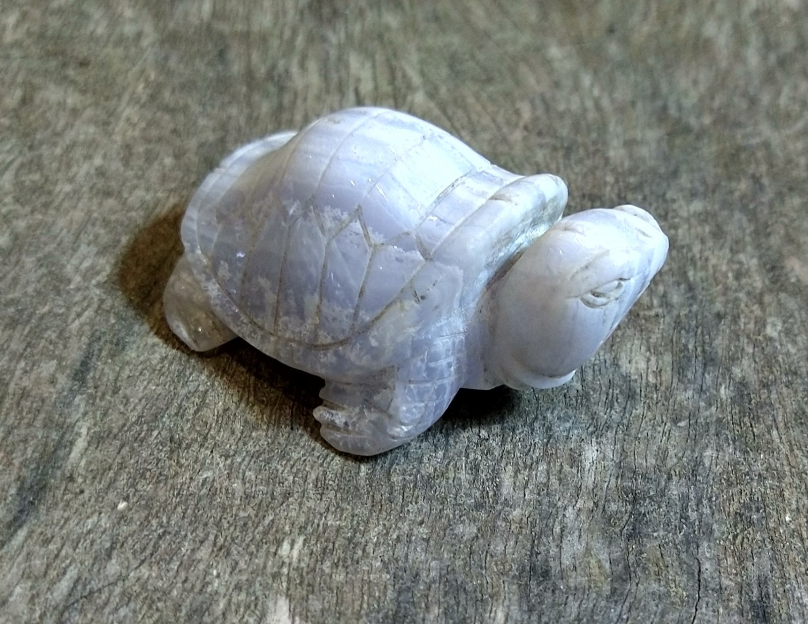 Natural Crystal: Hand Carved & Polished Blue Lace Agate Tortoise (Approx 6x4x4cm) - Image 2