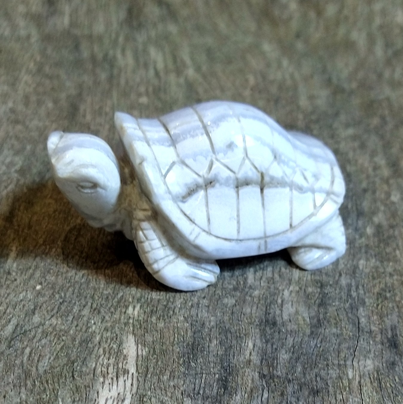 Natural Crystal: Hand Carved & Polished Blue Lace Agate Tortoise (Approx 6x4x4cm)