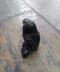 Alternative view of Natural Crystal: Hand Carved Black Jasper Owl (Approx 9x5x4cm)