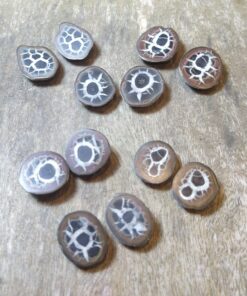 Natural Crystals: Septarian Nodules Matching Pairs (Cut in Half) (Approx 3x3cm)