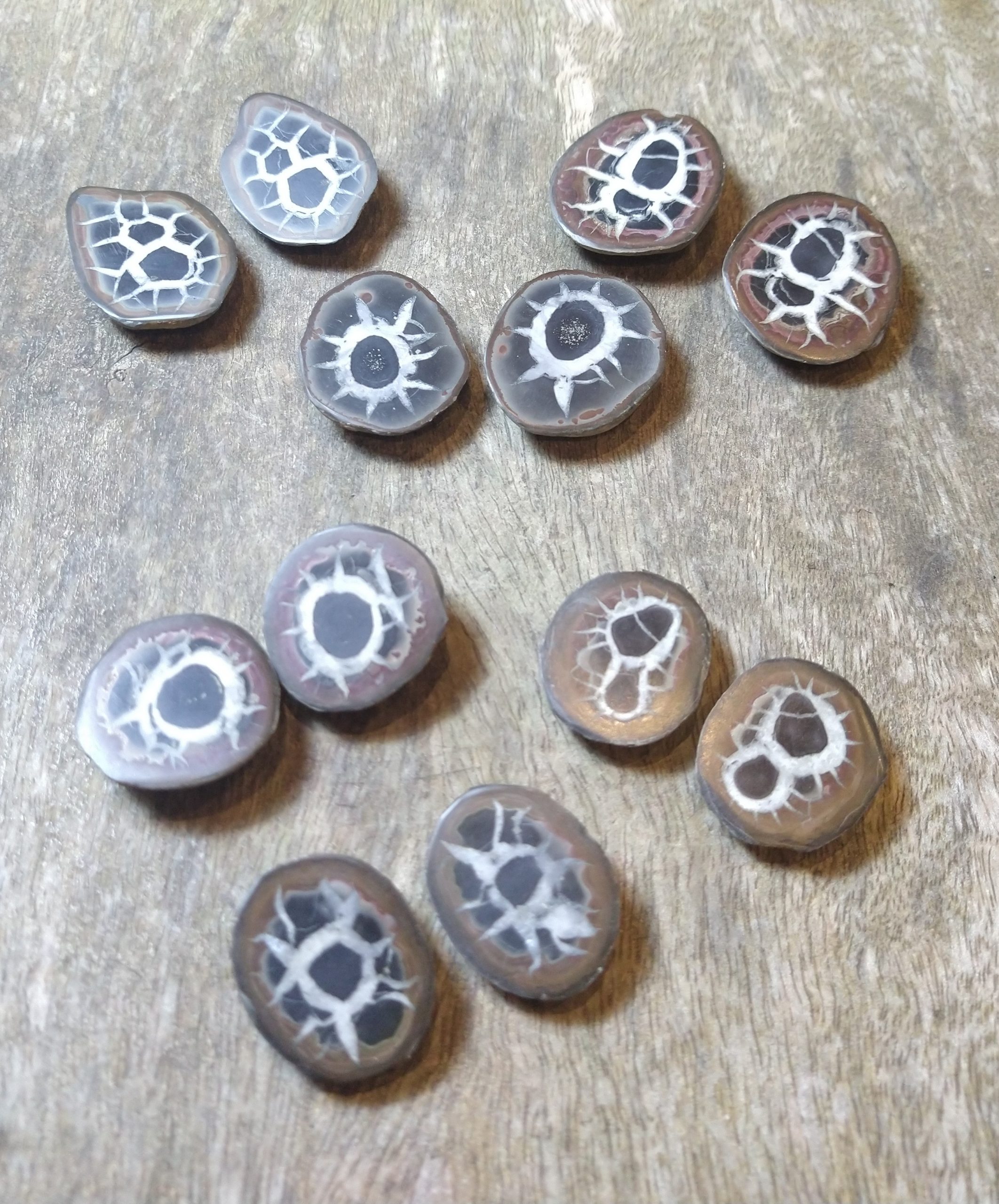 Natural Crystals: Septarian Nodules Matching Pairs (Cut in Half) (Approx 3x3cm)