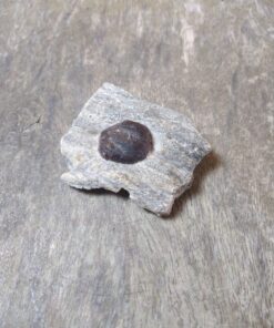 Natural Crystal Specimen in Matrix: Garnet Cubic Crystal (Approx 6x4x2.5cm)