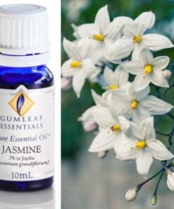 Gumleaf Essential Oils: Jasmine (3%) 10ml
