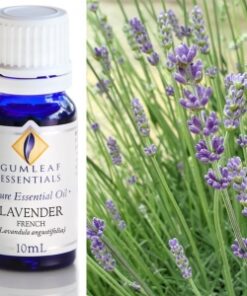 Gumleaf Essential Oils: Lavender French | Bulgarian10ml