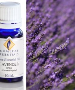Gumleaf Essential Oils: Lavender Spike 10ml