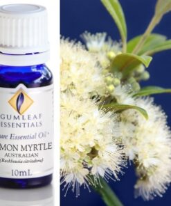 Gumleaf Essential Oils: Lemon Myrtle 10ml