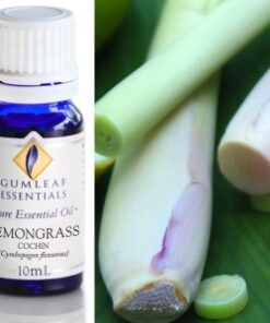 Gumleaf Essential Oils: Lemongrass 10ml