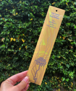 Incense Sticks: Mothers India Palo Santo Nagchampa
