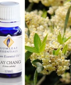 Gumleaf Essential Oils: May Chang 10ml