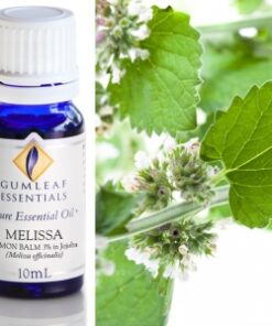 Gumleaf Essential Oils: Melissa 10ml