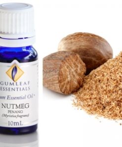 Gumleaf Essential Oils: Nutmeg 10ml