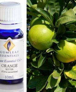 Gumleaf Essential Oils: Orange Bitter 10ml