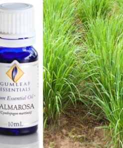 Gumleaf Essential Oils: Palmarosa 10ml