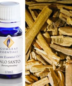Gumleaf Essential Oils: Palo Santo 10ml
