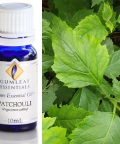 Gumleaf Essential Oils: Patchouli 10ml