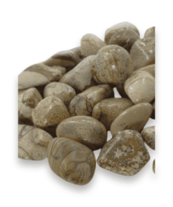 Tumbled Stone: Picture Jasper
