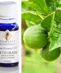 Gumleaf Essential Oils: Petitgrain 10ml