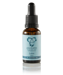 Promemo Essence: Love