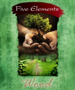 Alternative view of Five Elements Incense - Wood
