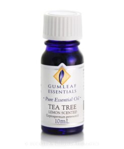 Alternative view of Gumleaf Essential Oils: Tea Tree Lemon Scented 10ml