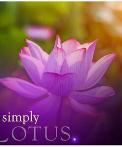 Alternative view of Simply Pillar Candle: Lotus