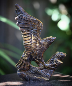 Natural Crystal: Hand Carved & Polished Tiger Eye Hawk (Approx20x15x8cm)