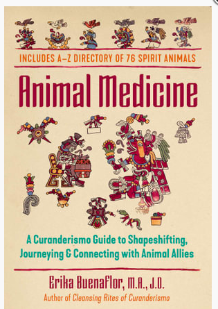 Animal Medicine: A Curanderismo Guide to Shapeshifting, Journeying and Connecting with Animal Allies.