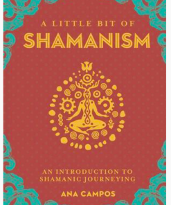 Little Bit of Shamanism, A