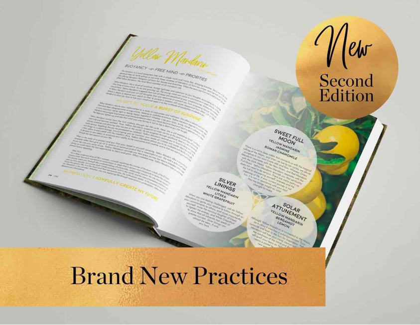 Gifts Of The Essential Oils - 2nd Edition - (Hardcover) by Adam Barralet, Vanessa Jean Boscarello Ovens - Image 3
