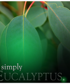 Alternative view of Simply Pillar Candle: Eucalyptus