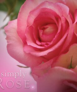 Alternative view of Simply Pillar Candle: Rose