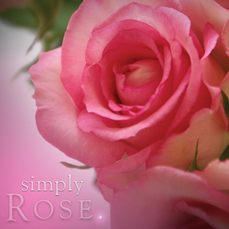 Simply Pillar Candle: Rose - Image 2