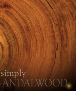 Alternative view of Simply Pillar Candle: Sandalwood