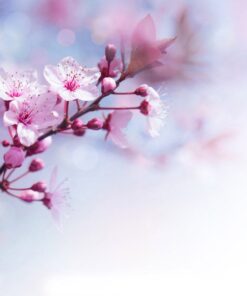 Alternative view of Sakura Pillar Candle: Small
