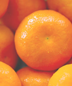 Alternative view of Tangerine & Mandarin Scrub Soap