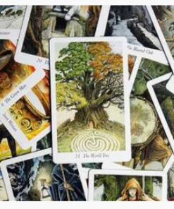 Alternative view of Wildwood Tarot: Wherein Wisdom Resides  by Mark Ryan and John Matthews
