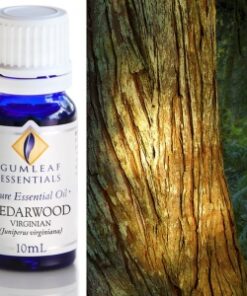 Gumleaf Essential Oils: Cedarwood Virginian 10ml